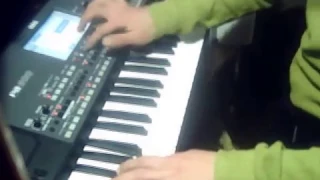 чудная долина korg pa600