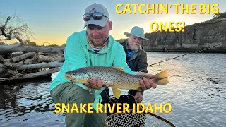 Snake River Trout Fishing: Catching the BIG Ones!