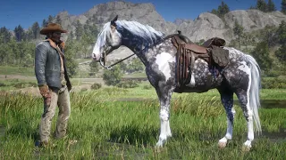 Red Dead Redemption 2: Easiest method to get the Missouri Fox Trotter, very early in the game too