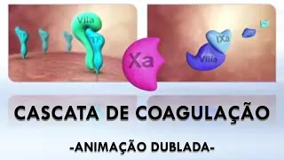 CASCATA DE COAGULAÇÃO - ANIMAÇÃO DUBLADA