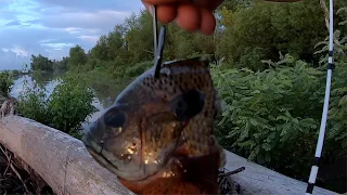 Big Baits No Weights, Fishing For Catfish