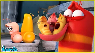 Larva Tuba - ĐEM CON BỎ CHỢ - ẤU TRÙNG TINH NGHỊCH - PHIM HOẠT HÌNH LARVA MỚI HAY NHẤT 2022