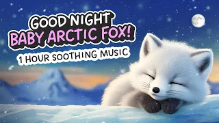 Good Night Baby Arctic Fox ❄️🦊 1 Hour Relaxing Sleep Music | Snow, Northern Lights & Winter Animals