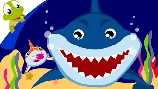 Baby Shark Song | Animal Songs with lyrics