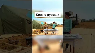 Кива о русских / Золотые слова #shorts