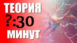 Как изменить жизнь всего за 30 минут в день