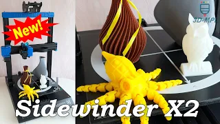 💥NEW! ARTILLERY Sidewinder X2. Detailed review and comparison with Sidewinder X1