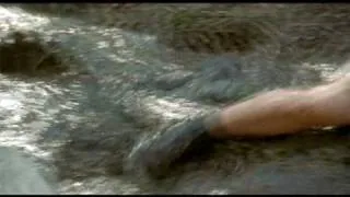 Crocodile Hunter Collision Course Spot