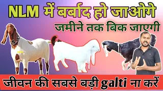 NLM Barbad Kr Dega Naye Goat Farmer Ko| bakri palan Mein yah Galti na Karen |Vimalumrao