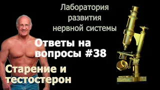 Тестостерон и старость