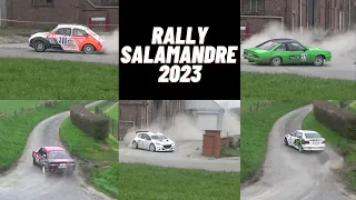 Rallye Salamandre 2023 + Mistakes