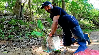 Como armar una pecera, recolectando peces y plantas  Acuario sin filtro ni aireador. ACUARIO URBANO