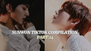 Sunwon  compilation i found on tiktok part 14#sunoo#jungwon #enhypen