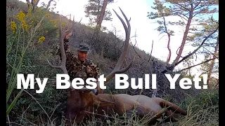 Biggest Archery Bull Elk Yet! Self-filmed solo mission.