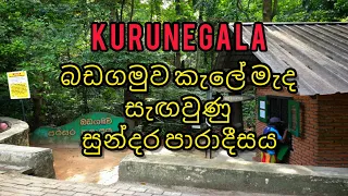 Kurunegala Badagamuwa Forest Srilanka #travelwithgaiya