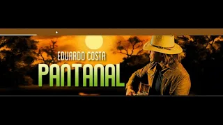 EDUARDO COSTA - Boiadeiro Errante DVD PANTANAL (Som Vídeos variáveis)