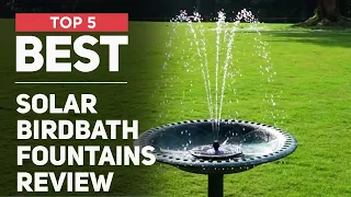 5 Best Solar Birdbath Fountains for 2024 [ Most Popular ]