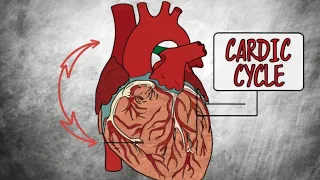 Cardiac Cycle | الدورة القلبية @MediMinds360