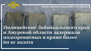 Ирина Волк: Полицейские Забайкалья и Амурской области задержали подозреваемых в краже 60 кг золота