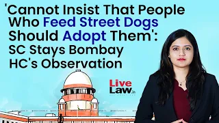 'Cannot Insist That People Who Feed Street Dogs Should Adopt Them': SC Stays Bombay HC's Observation