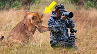 Lioness Asks Photographer For Help, He Is Shocked To Find Out Why