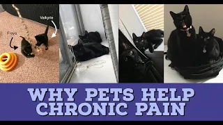 Why Pets Help Chronic Pain