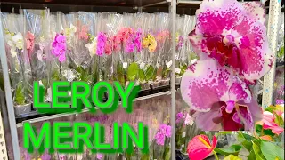 Невозможно УСТОЯТЬ ❗ЭТО ОРХОБЕЗУМЕЕ в LEROY MERLIN Орхидеи на любой вкус 🌸