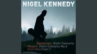 Violin Concerto in D Major, Op. 61: I. Allegro ma non troppo (Cadenza by Kreisler)