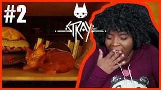 I Played In My Sleep (And I Don't Remember Any Of It) | Stray [Part 2]