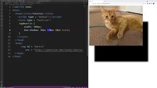 CSS how to add drop shadow to images (box shadow)