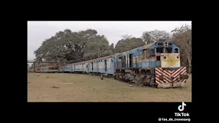 homenaje al Gran capital al tren ferrocarril Urquiza mesopotámico Federico lacroze y  posadas🌟