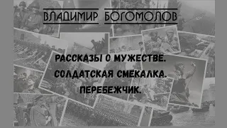 Владимир Богомолов - Рассказы о мужестве