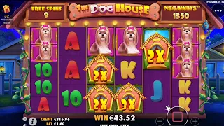 Big Win and free spins The Dog House Megaways