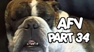 ☺ AFV Part 34 - (Funny Clips Fail Montage Compilation) | OrangeCabinet