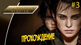 ✅A Plague Tale: Requiem✅ПРОХОЖДЕНИЕ Часть#3 от MamyraGames✅