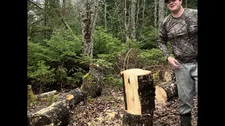 Just a guy chopping wood