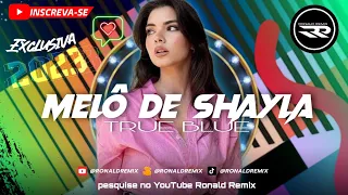 MELÔ DE SHAYLA • TRUE BLUE | REGGAE 2023 Exclusiva @RONALDREMIX Áudio oficial