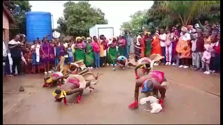 swigubu swaka Bungeni