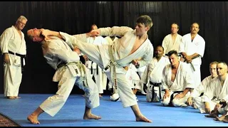 The Best And Most Technical Of Karate Masters  - ANDRE BERTEL  #shotokan