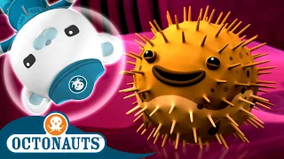 ​@Octonauts - The Porcupine Puffer Rescue Mission 🐡 | Series 2 | Full Episode 9 | Cartoons for Kids