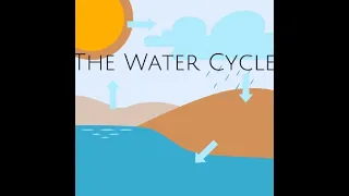 The Water Cycle