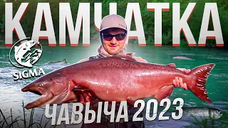 РЫБАЛКА НА КАМЧАТКЕ | ЧАВЫЧА 2023 | САМЫЕ ДИКИЕ МЕСТА НА РЕКЕ | King salmon Fishing! |