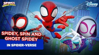 Spidey, Spin, and Ghost Spidey in Spider-verse | Marvel' s Spidey and His Amazing Friends | Cartoon