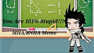 "You are 101% Stupid!" MHA/BNHA Meme