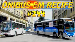 #244 Av. Guararapes ( PARTE 1 ) -  Movimentação de ônibus no centro do Recife