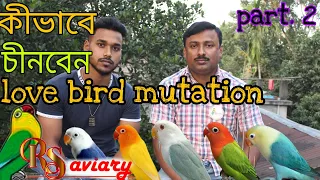 কিভাবে চিনবেন LOVE BIRD MUTATION .how to choose  lovebirds mutation