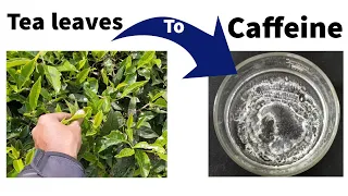 Caffeine from Tea leaves , extraction