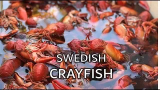 Swedish Crayfish with Big Swede BBQ