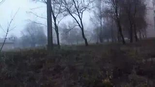 Погода сегодня 29.11.2019г.туман и дождь Донецк