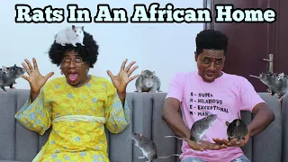 RATS IN AN AFRICAN HOME